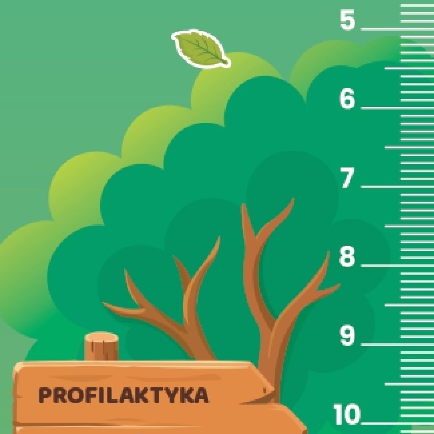 zakladka1